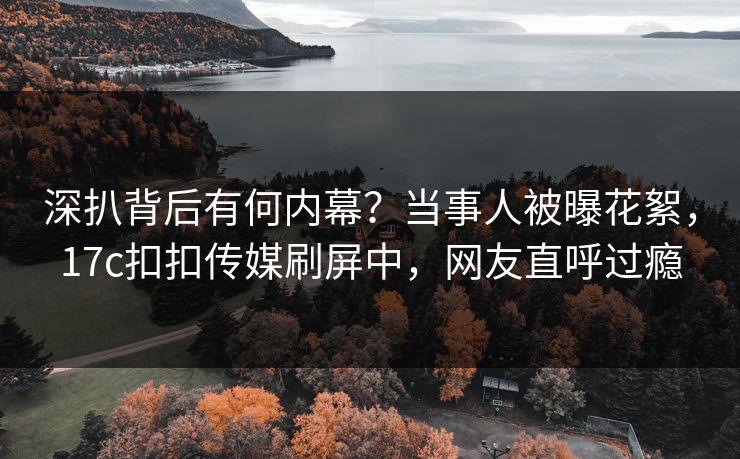 深扒背后有何内幕？当事人被曝花絮，17c扣扣传媒刷屏中，网友直呼过瘾